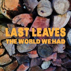 Last Leaves – The World We Had