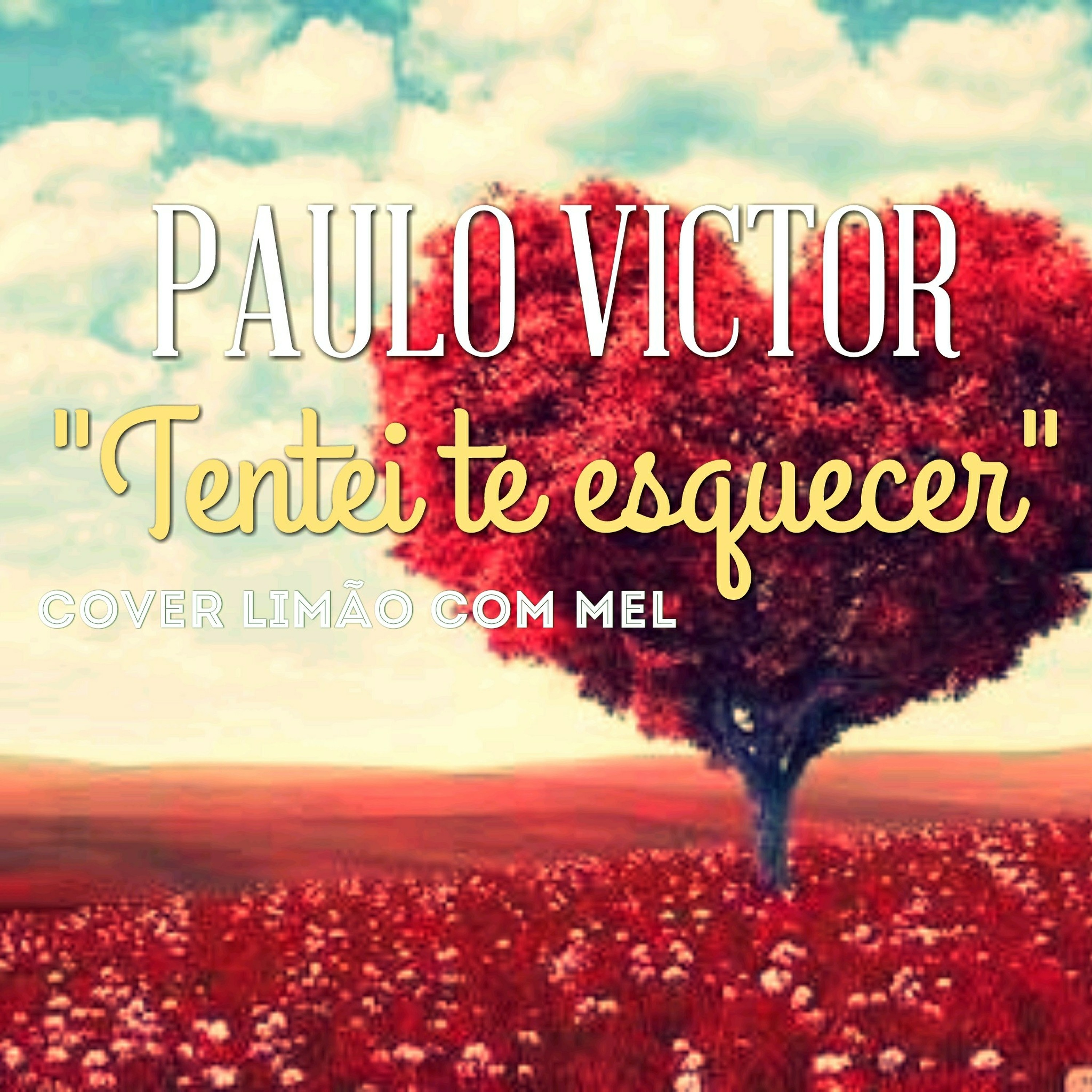Paulo Victor