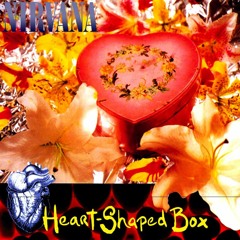 Nirvana - Heart Shaped Box (Richard Brown Club Remix)