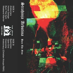 STRAHINJA ARBUTINA - WEEKEND WARRIOR