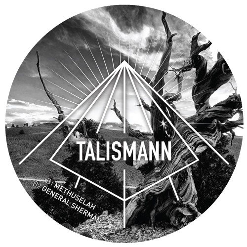 TALISMANN - GENERAL SHERMAN