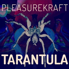 Pleasurekraft - Tarantula (Jono Toscano Remix) [4K Follower FREE DL]