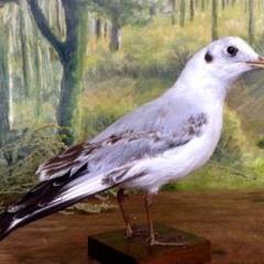 What You Want? (All Night)