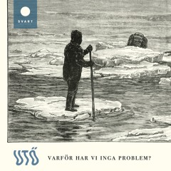 Varför har vi inga problem?