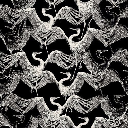 ANKARA EP [Echolette]