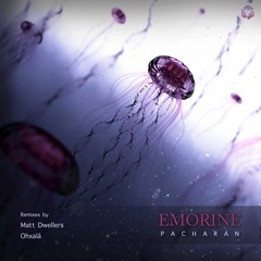 PREMIERE: Emorine - Polaroid (Matt Dwellers Remix) [Techgnosis Records]