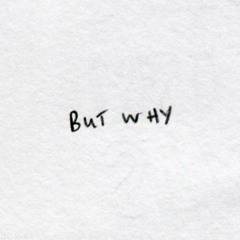 PJG - WARUM