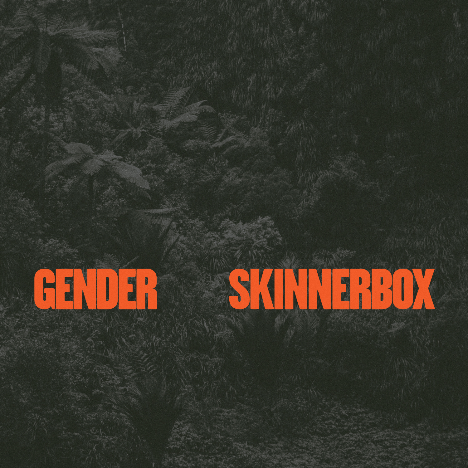 Landa Skinnerbox - Gender (Original Mix)