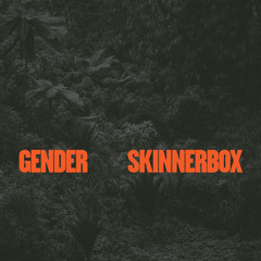 Skinnerbox - Gender (Original Mix)