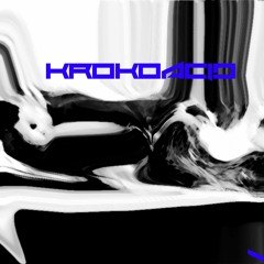 Krokoacid // ACID TECHNO // JFK //BETA