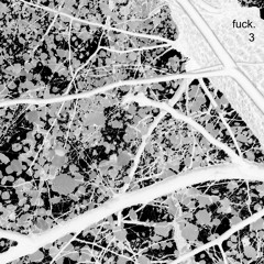 Fuckmusik Komposition Nr. 3