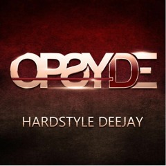 Opsyde - Back2Noize Radio  - Tribute to Donkey Rollers