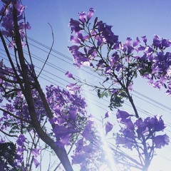 Light