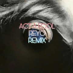 Ludacris -  Act A Fool (REYO Remix)