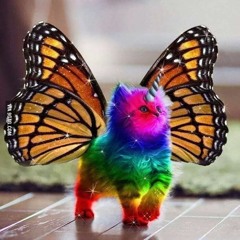 Psytrance/Hi-Tech