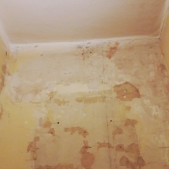 Someday ill know what to say when i see you again