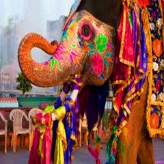 "Spermy`s Indian Dream" - (Hot & Spicy Acidic Tandori Mix) -  28thJune2017