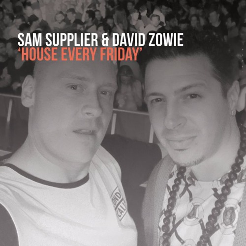 free download sam supplier david zowie house every free download sam supplier david zowie house every