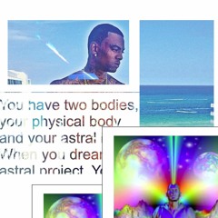 Soulja Boy - She Got A Donk (French Fry Puppy Remix) [2016]