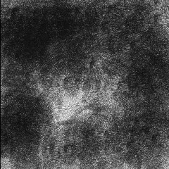 TRISTEZA NAO CATALOGADA