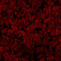 owcltd012 | Drottning Omma - Is | D4 Minns du slutet som jag?