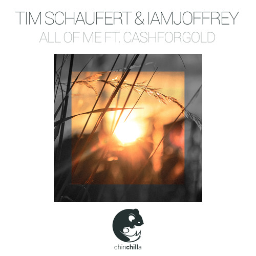 Tim Schaufert & Iamjoffrey - All Of Me ft. CASHFORGOLD