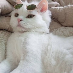 two again - christian burrows (cover)