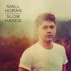 Niall Horan - Slow Hands (Melbourne Bounce Remix)