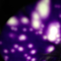 Brian Ritchie & Stuart McCann - In my mind