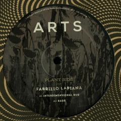 A1. Fabrizio Lapiana - Interdimensional Bug