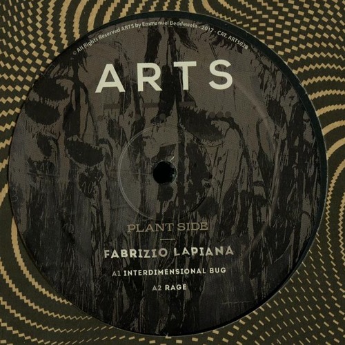 A1. Fabrizio Lapiana - Interdimensional Bug