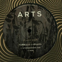 A2. Fabrizio Lapiana - Rage