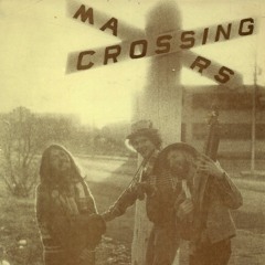 LOWER THAN GRAVITY (Different Shoes Album with The Mars Crossing Band)