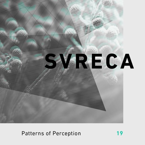 Patterns of Perception 19 - Svreca