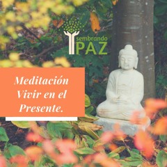 Sintonización Amor Universal Y Vivir En El Presente