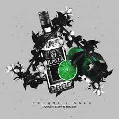 Roman Troy - Текила/Соль feat. Валик (prod. RAZDERIN)