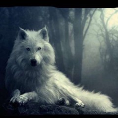 Your Worth ft. Reeko Rich