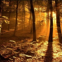 The Weight of Autumn