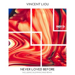 Vincent Liou - Never Loved Before (Original Mix)