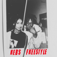 Reb's Freestyle (beatsby Floyd Zion)