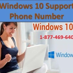 How to Fix Network Connection Errors in Windows 10 OS