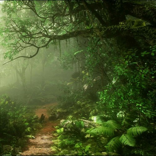 Stream Jungle overlay by Slime_Wrld | Listen online for free on SoundCloud