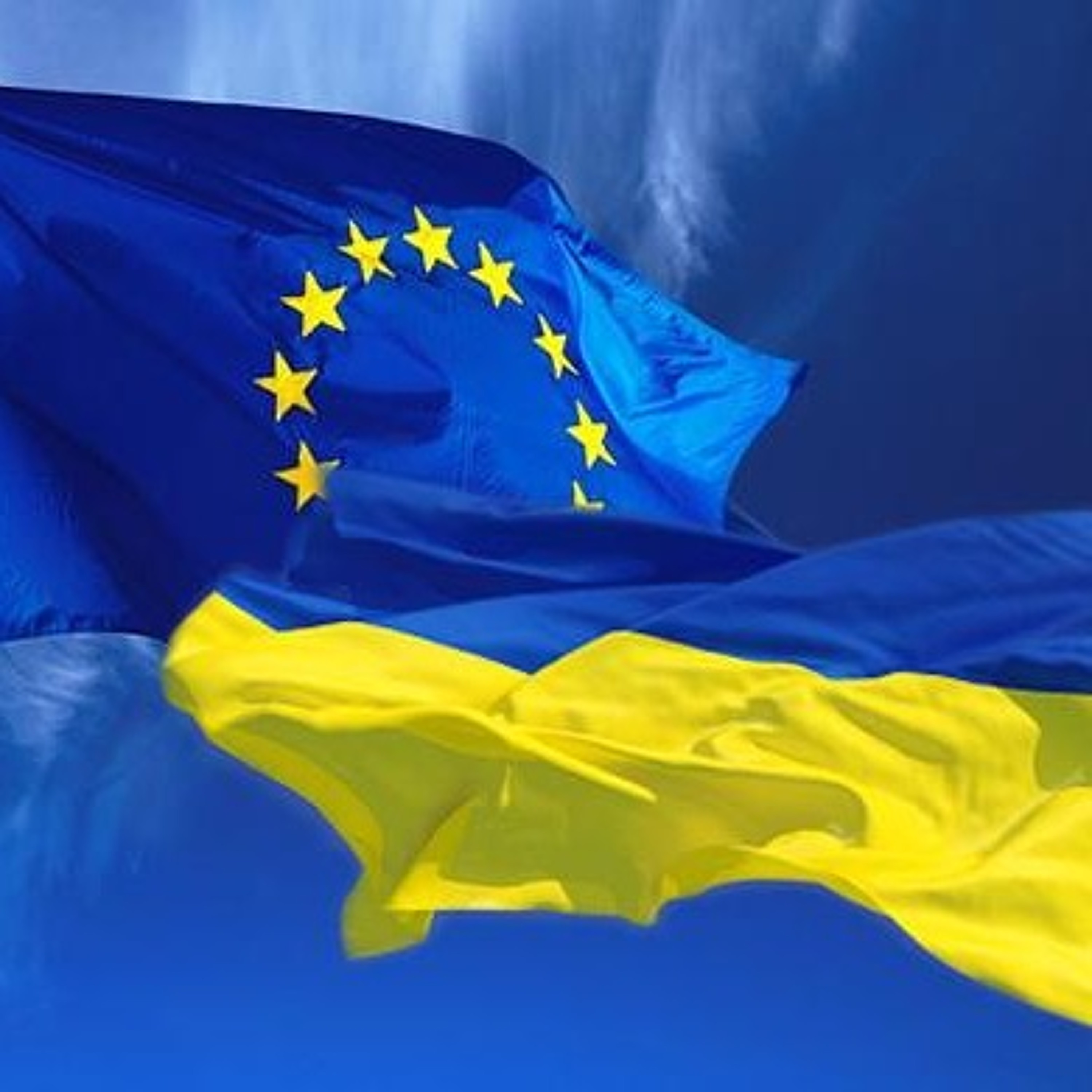 ECFR en Español