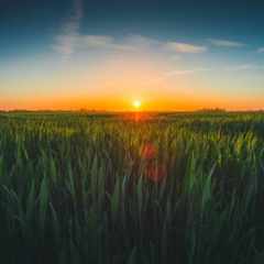 Sergei Spatz & Daria Fomina - Hello Summer 2017