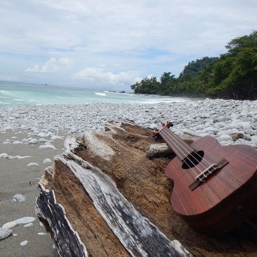 Stream Rhythmic Ambience with Clapping and Ukulele by Alyssa Osorio