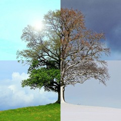 Antonio Vivaldi - Four Seasons - Summer - 1st Movement
