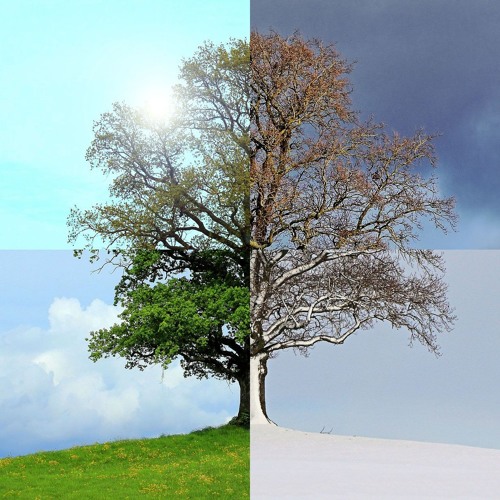 Antonio Vivaldi - Four Seasons - Summer - 1st Movement