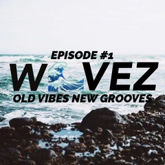 OLD VIBES NEW GROOVES #1