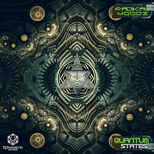 Radikal Moodz - Makita - Out Now