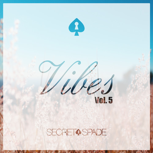 Vibes Vol.5